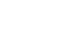 お魚 fish