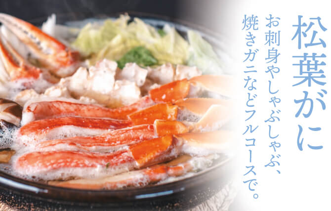 松葉がに お刺身やしゃぶしゃぶ、焼きガニなどフルコースで。