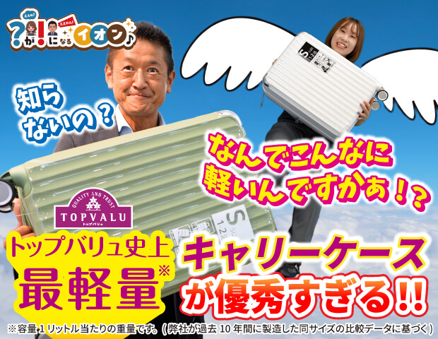 動画を見る